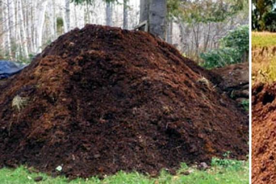 When is the best time to bring manure to the site?