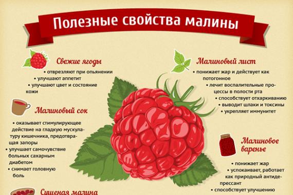 Raspberry jam benefits and harms Can raspberry jam be toxic?